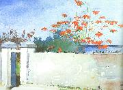 A Wall, Nassau Winslow Homer